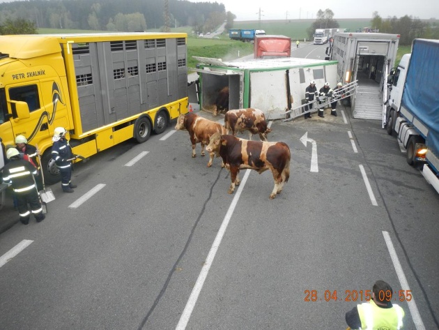 dn byci dolni horice HZS 28042015 3