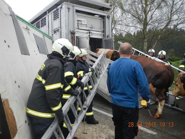 dn byci dolni horice HZS 28042015 4